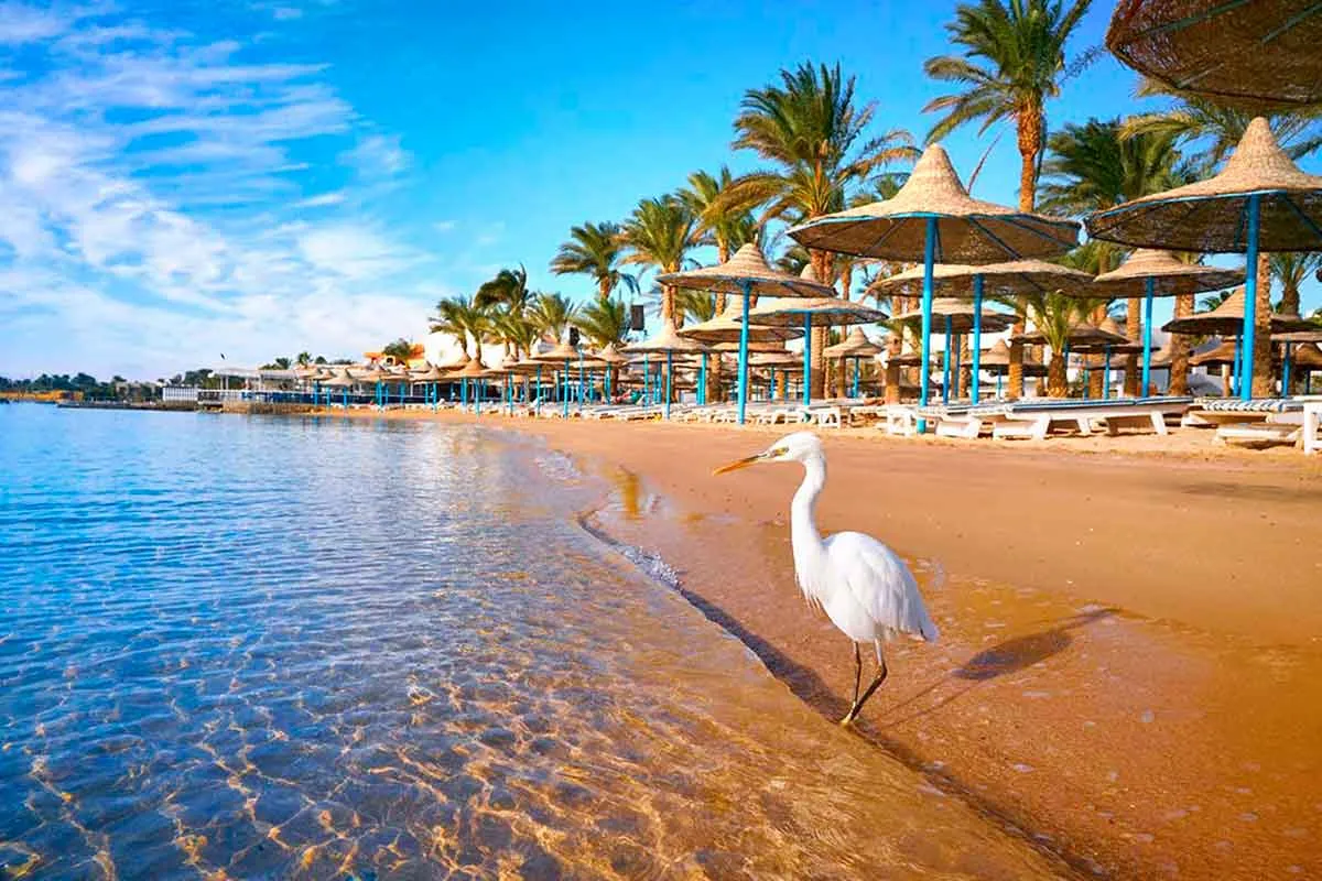 Exciting Hurghada Tour: Explore the Red Sea